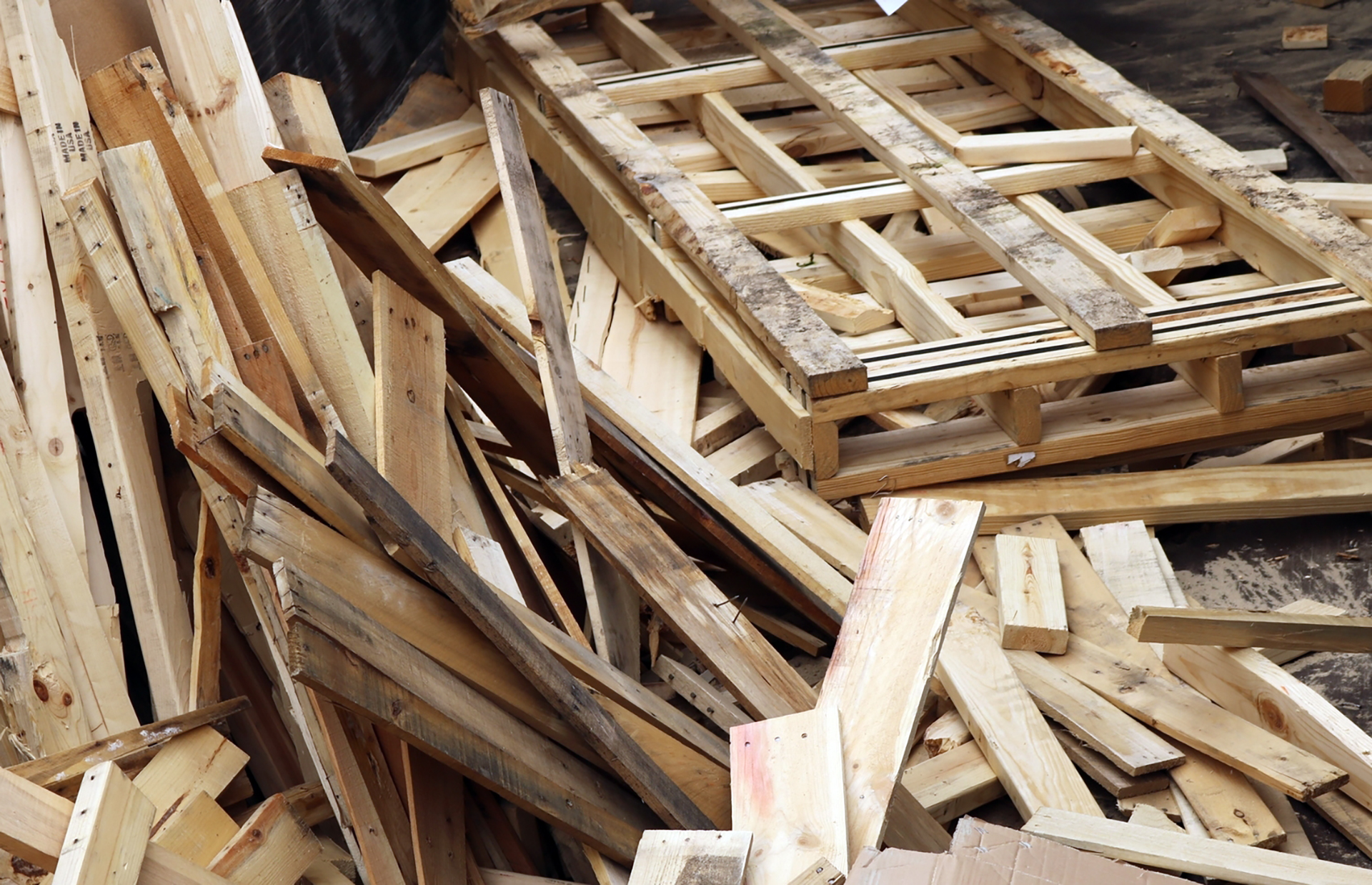 A madeira é um material biodegradável e ecologicamente correto?