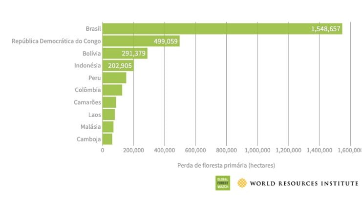 Brasil lidera ranking mundial entre os 10 paises que mais desmataram suas florestas primarias