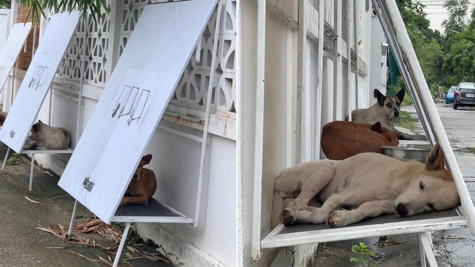 ONG da Tailândia cria abrigo para cachorros de rua utilizando Outdoors reciclados