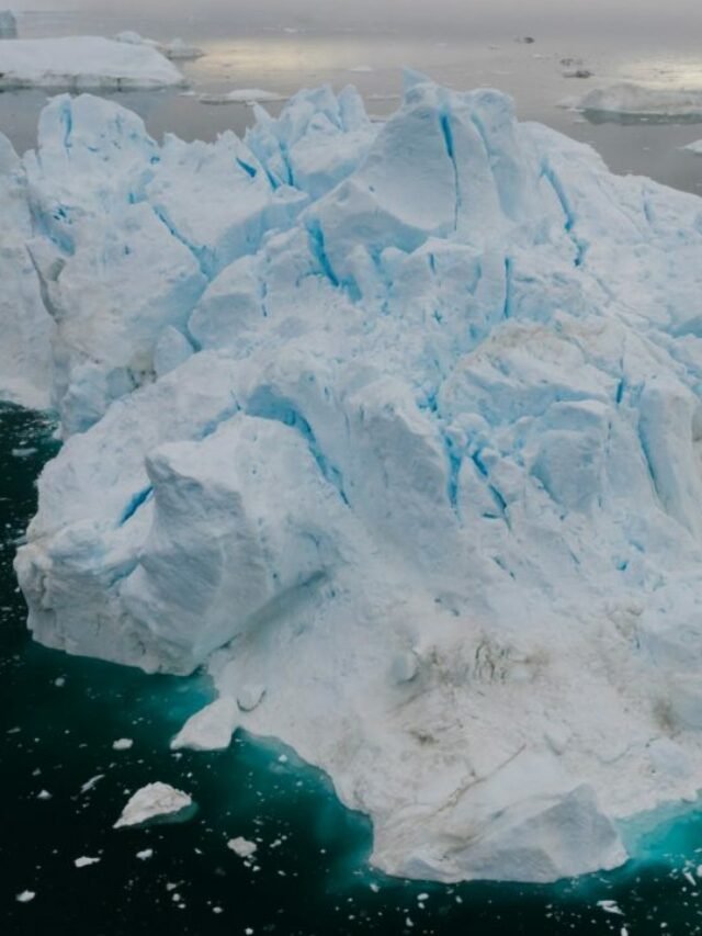 Cientistas encontram ecossistema sob gelo da Antártica