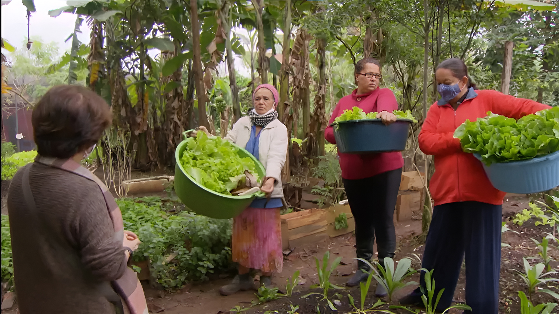 Comunidade de SP transforma um lixão abandonado em uma horta comunitária que fornece comida de graça à população