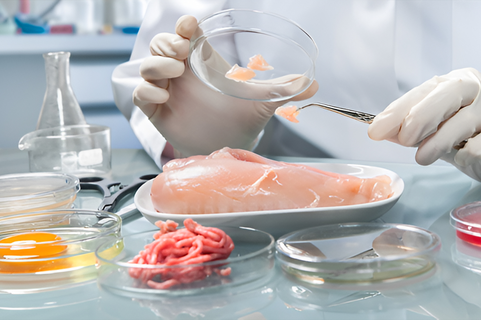 Carne de frango de laboratório é aprovada para consumo humano pela primeira vez nos EUA e será disponibilizada em breve
