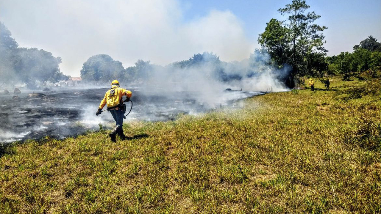 Incêndios Florestais conta com intervenção vital das Brigadas Florestais e do Instituto Brasília Ambiental