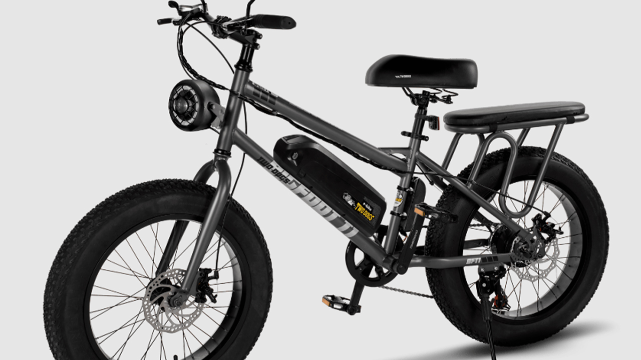 Empresa lança bicicleta elétrica de dois lugares que suporta mais de 150 kg, a Bigfoot T1 750w