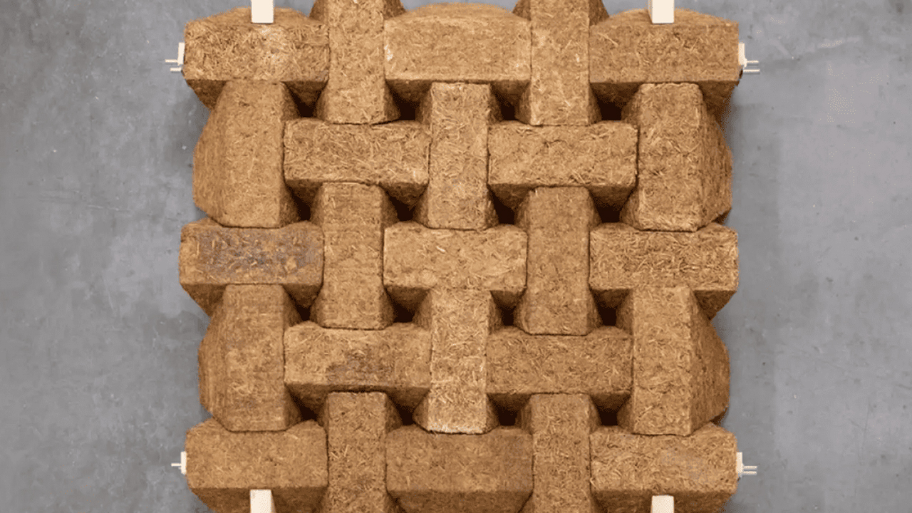 Sustentabilidade na construção; Conheça o tijolo feito do bagaço da cana-de-açúcar