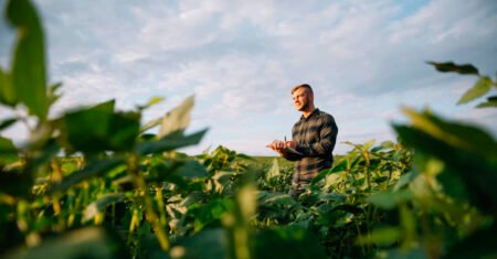 O que faz uma fazenda ser considerada sustentável? Podem usar agrotóxicos?