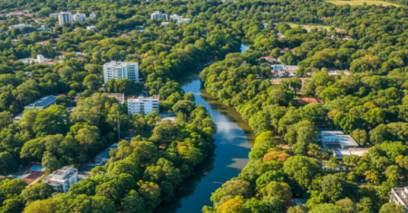 Cidades sufocadas pelo calor extremo encontram na arborização em massa a única saída para sobreviver ao aquecimento global