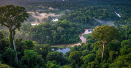 A destruição da Amazônia ameaça o clima global, mas a preservação da maior floresta tropical do mundo é a única solução real para salvar o planeta do colapso no ano de 2026